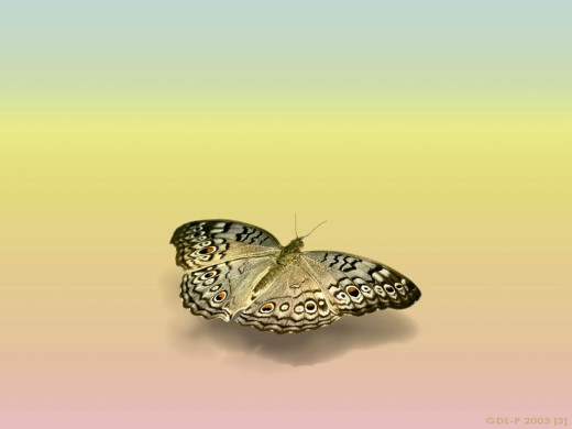 352794 (a): :1024x768